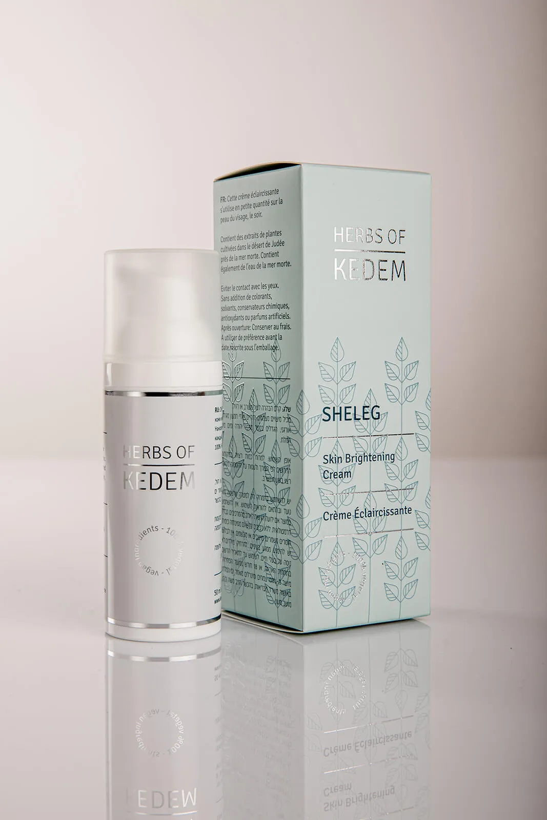 sheleg